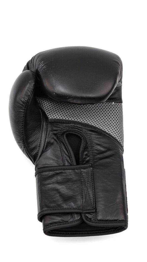 Boxing gloves inside
