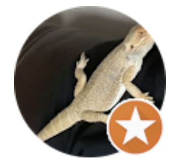 Ray Whelan profile picture for review